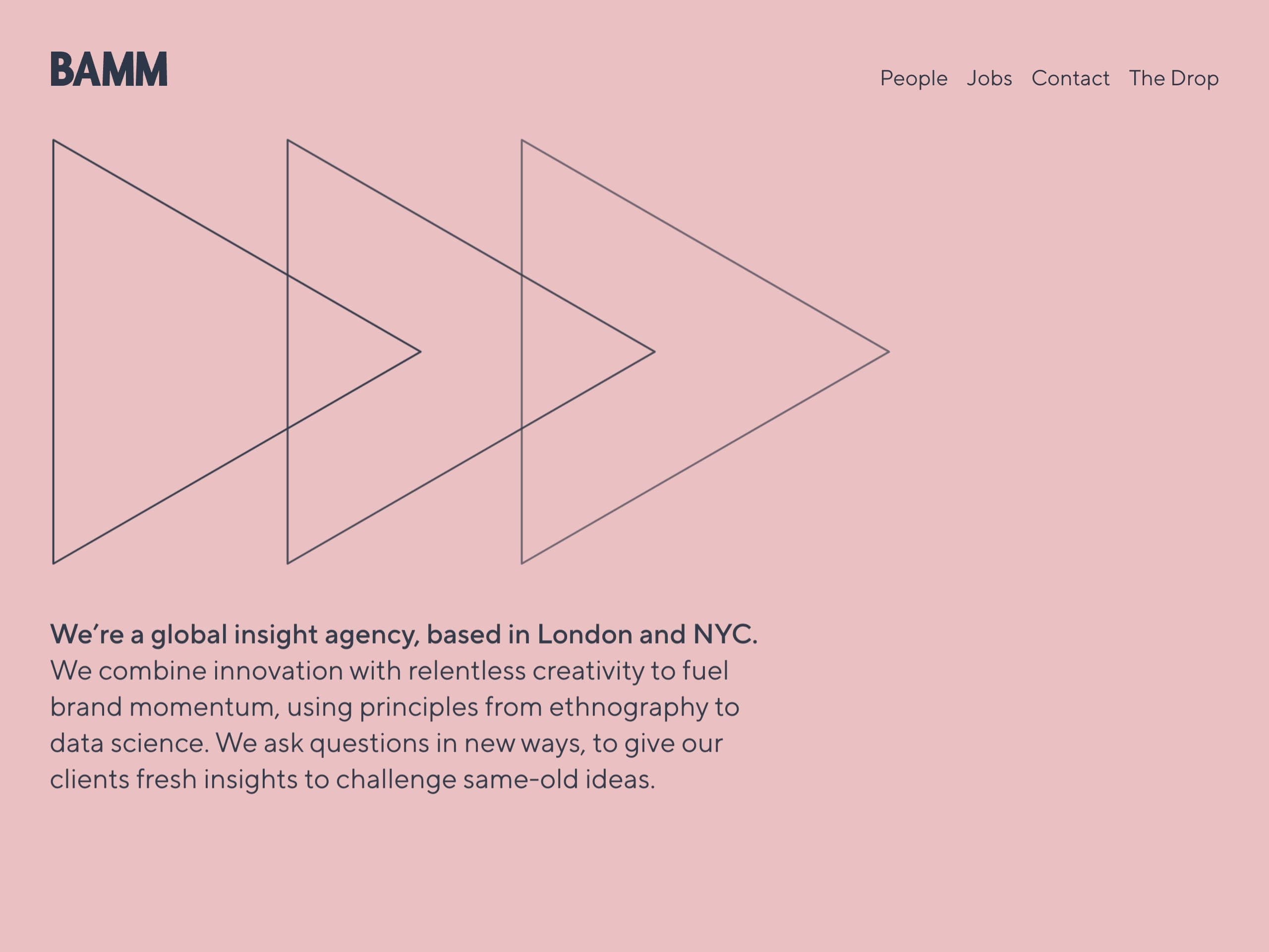 BAMM website screenshot