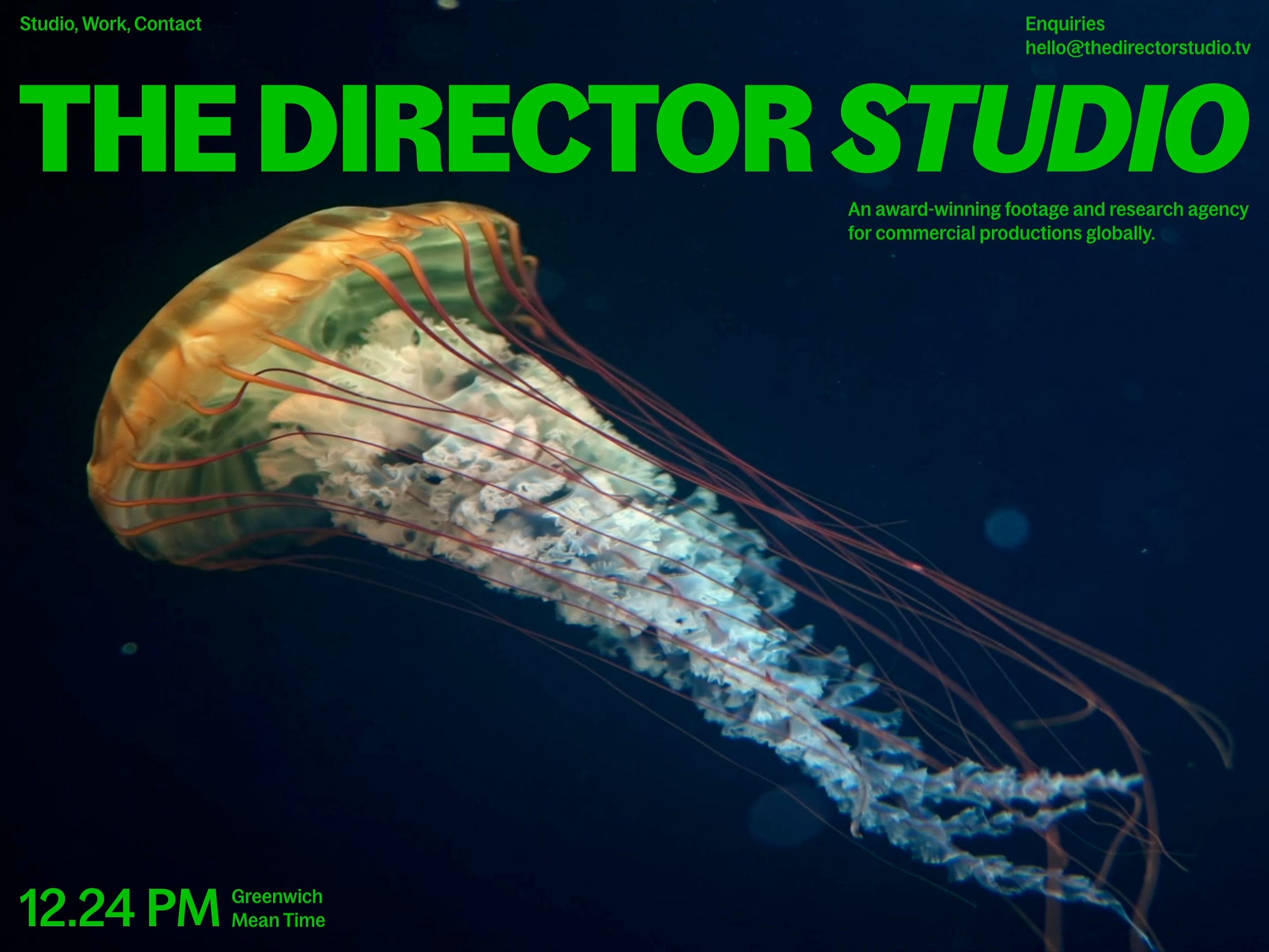 The Director Studio website screenshot